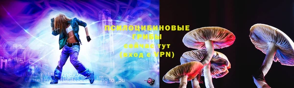 гашик Арсеньев