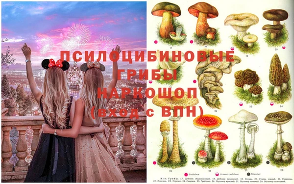 меф Ростов