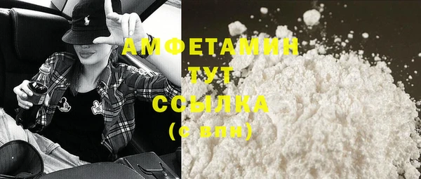 гашик Арсеньев