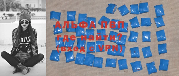 гашик Арсеньев
