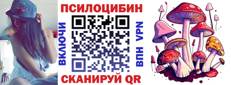Псилоцибиновые грибы прущие грибы купить Оленегорск